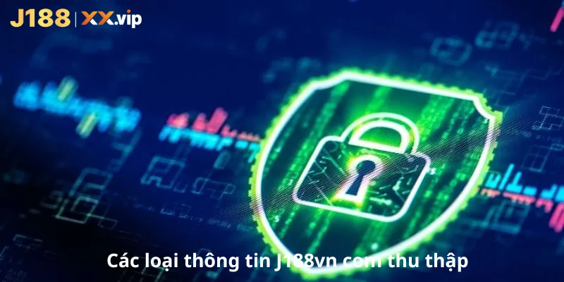 Các loại thông tin J188vn com thu thập